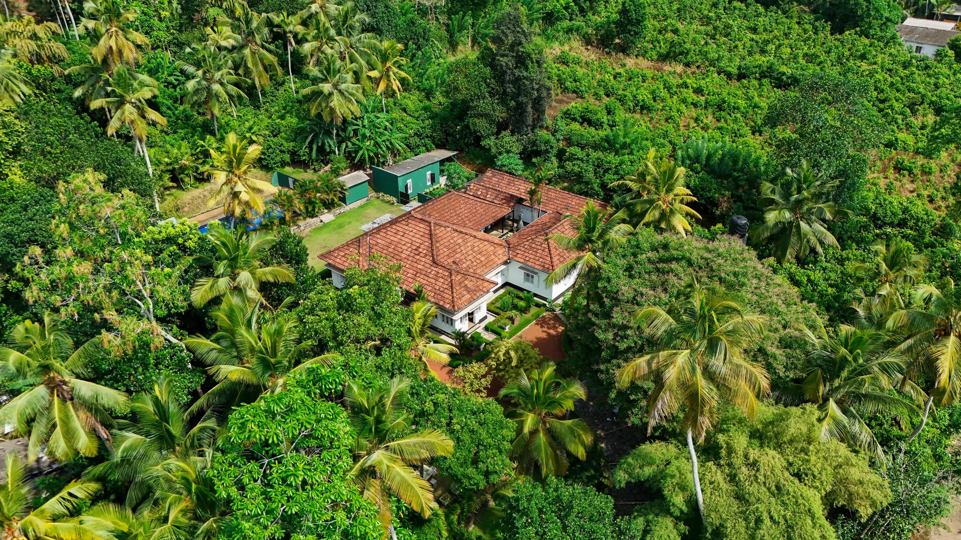 Must-Visit Attractions in Southern Sri Lanka